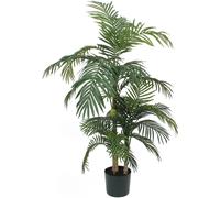 Palmier Areca Golden Cane, 150 cm - Vert