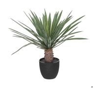 Atmosphera - Palmier artificiel en pot Rivi - 52 cm - Noir & Vert G