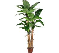 Palmier bananier artificiel 280 cm - Arbre artificiel exotique avec 3 troncs et 30 feuilles