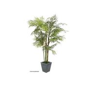 Palmier cycas , plante artificielle, 280cm