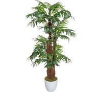 Palmier d'arec plante artificielle 150 cm de haut dans un pot en céramique blanc avec coco et mousse