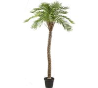 Palmier Macauba Plante artificielle, 235 cm de haut, facile à entretenir dans un pot en plastique, vert