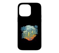 Palmier Vintage au Coucher du Soleil sur l'île de Floride à Destin Coque pour iPhone 14 Pro Max