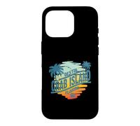Palmier Vintage au Coucher du Soleil sur l'île de Floride à Destin Coque pour iPhone 16 Pro