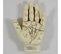 Palmistry Hand, Ornament. L12.5cm & Palm Reading Instruction Booklet by Fiesta Studios