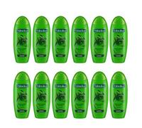 PALMOLIVE Naturals Lot de 6 shampoings « Silky Shine Effect » (6 x 350 ml)