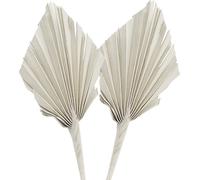 Palmspear Mini Blanc Lavé Set de 100 - Fleurs séchées Arrangement Décoration pour deuil et commémoration