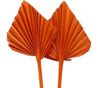 Palmspear Orange 65 pièces - Feuilles de palmier exotiques décoratives pour la création et l'art floral