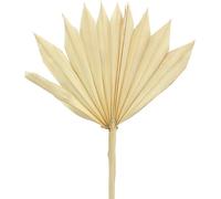 Palmspear Sun mini blanchi, feuille d'éventail décorative look naturel, composition funéraire Symbolique, fleurs séchées 30 pièces