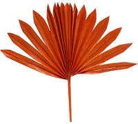Palmspear Sun mini Orange Set de 50 pièces - Soleils décoratifs de feuilles de palmier pour l'art floral et la décoration funéraire