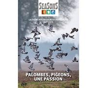 Palombes, pigeons : Une passion E