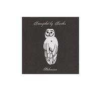 Trampled By Turtles – Palomino – Vinyle 180 g