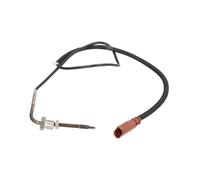 Palpeur, température des gaz DELPHI TS30160