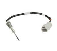 Palpeur, température des gaz DENSO DET-0119