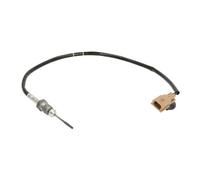 Palpeur, température des gaz MEAT & DORIA 12194