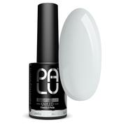 PALU - Vernis à Ongles UV LED Hybride - Vernis Gel UV LONDON - Surface Lisse - Haute Pigmentation - Dure jusqu'à 3 Semaines - Qualité Professionnelle Nail Art - 11g - G1 - Gris