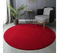 PALVIT Grand tapis rond à poils longs doux et moelleux pour salon, cuisine, chambre à coucher, chevet avec revers antidérapant, lavable en machine - 120 x 120 cm