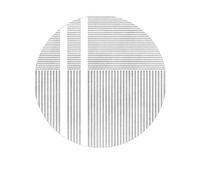 PALVIT Tapis de chevet, 160 x 160 cm, tapis de chambre à poils courts avec fond antidérapant pour canapé, table, salon, cuisine, salle de bain, tapis de sol rond lavable pour décoration d'intérieur