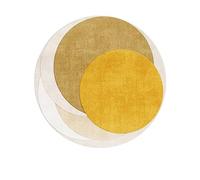 PALVIT Tapis de chevet, 250 x 250 cm, tapis de chambre à poils courts avec fond antidérapant pour canapé, table, salon, cuisine, salle de bain, tapis de sol rond lavable pour décoration d'intérieur