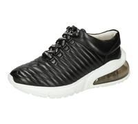 Pamela 1, Basket,