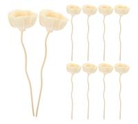 PAMINGONO 10 Bâtonnets Aromatiques Floraux en Bois Naturel pour Diffuseur à Roseaux, Accessoire D'aromathérapie et Décoration de Chambre Cuisine