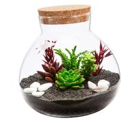 PAMINGONO Bocal Verre Hermétique pour Micro-paysages Et Plantes Contenant Décoratif Transparent pour Aménagement Paysager Mousse