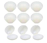 PAMINGONO Boîtes à Bonbons et Fêtes Joyeuses en Plastique Blanc de Coquillage 30 Pièces Petit Récipient pour Rangement et Bijoux, pour Anniversaires