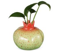PAMINGONO Vase en céramique Forme Fruit décoratif, planteur hydroponique élégant, Bouteille pour Arrangement Floral, Accessoire Polyvalent pour décoration intérieure