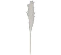 Pampa naturelle beige en roseau séché hauteur 120 cm - Altobuy G