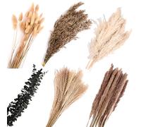 Pampa Séchées Naturelle Décoration, 110 Pièces Fleurs Séchées avec Eucalyptus Seches Naturel, pour Boho Décoration Mariage, Deco Chambre, Deco Bapteme