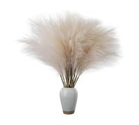 Pampas Grass - Dried Flowers for Vase | Tall Pampas Grass | Faux Flufy Short Artificial Pampa Grass Decor | Bouquet Plants Fake Small Pompass Branches for Wedding Home and Christmas Decor