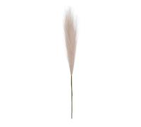 Pampas Grass | Vaste Application Haute décoration Boho de Fausse Falsification Artificielle | Excellent dans la Fabrication Faux Pampas Grass de Roseau Moelleux Bulrush pour Vase Farm Farmhouse