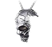 PAMTIER Collier à Pendentif Tête de Mort Cassée Demi-Visage pour Homme en Acier Inoxydable avec Chaîne