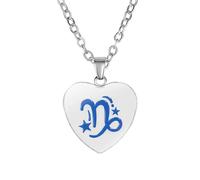 PAMTIER Collier Signe du Zodiaque pour Femmes Cœur Esprit Pendentif Astrologie Constellation Céleste Horoscope Acier Inoxydable Simple Mignon Bijouterie Capricorne