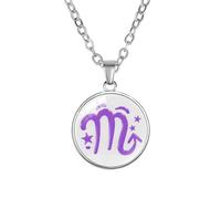 PAMTIER Collier Signe du Zodiaque pour Femmes Hommes Couples Cercle Esprit Pendentif Astrologie Constellation Céleste Horoscope Acier Inoxydable Simple Coloré Bijouterie Scorpion