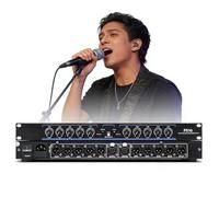 PAMZV Processeur Audio 2 Entrées/10 Sorties, Processeur De Répartition De Fréquence pour Haut-parleurs Numériques Professionnels, Stéréo 5 Canaux, Mono 10 Canaux, Distorsion Réduite, pour La Scène