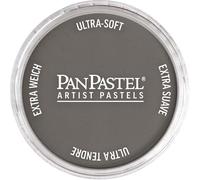 Pan Pastel Peinture d'artiste Pastel Teinte gris neutre