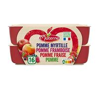 Panache Fruits Rouges 1600G - Délice Fruité signé MATERNE - Prêt-à-manger savoureux sans sucres ajoutés - Lot De 3