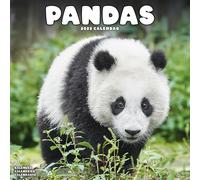 Panadas Calendar 2025 Square Animal Wall Calendar - 16 Month