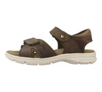 Panama Jack, Homme, Chaussures, Vert, Taille: 44 EU Sandales Plates avec Bretelles Adhésives