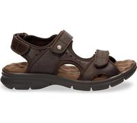 Panama Jack Homme Salton Sandales Plates, Marron C35, 47 EU