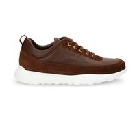 Panama Jack - Jensen C9 - Baskets - EU 41 - chestnut