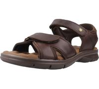 Panama Jack Sanders C17 Couleur Marron