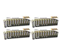 PANASONIC Lot de 4 boîtes de 20 Piles Alcaline Everyday Power Silver AA-LR6 1,5V