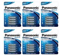 PANASONIC Lot de 6 Blisters de 4 Piles Alcaline Evolta AAA LR03