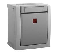 Panasonic Panasonic Interrupteur de contrôle/de coupure 2 pôles FR-AP IP54 90591028-DE Quantité:1