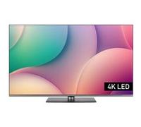 Panasonic TV55W83AE6 139,7 cm (55") 4K Ultra HD Smart TV Wifi Gris