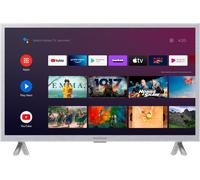 Panasonic TX-24LSW504S TV 61 cm (24 ) HD Smart TV Argent