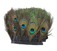 PANAX Plumes de paon sur 2 m de bande de tissu environ 15-20 cm de longueur plume, idéal pour l'artisanat, le carnaval, les costumes, les décorations, les mariages, 02 Style B, Taille unique