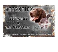 Pancarte attention au chien personnalisée braque allemand - pré perforée et vis données. De 30 cm à 15 cm…